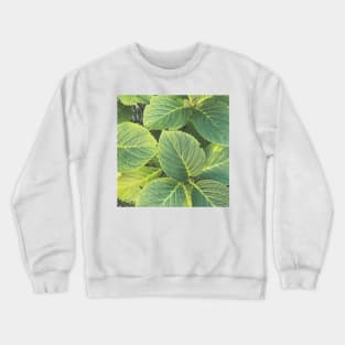 Green Hydrangea Leaves Crewneck Sweatshirt